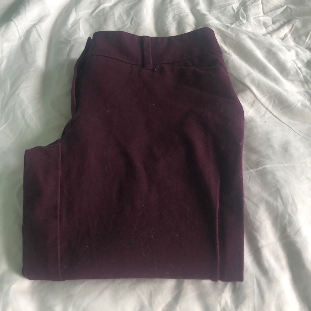 Business pants
